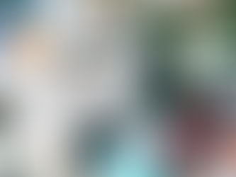 Mehr als Reinigung – jetzt auch professionelle Reinigungsprodukte für Ihr Zuhause