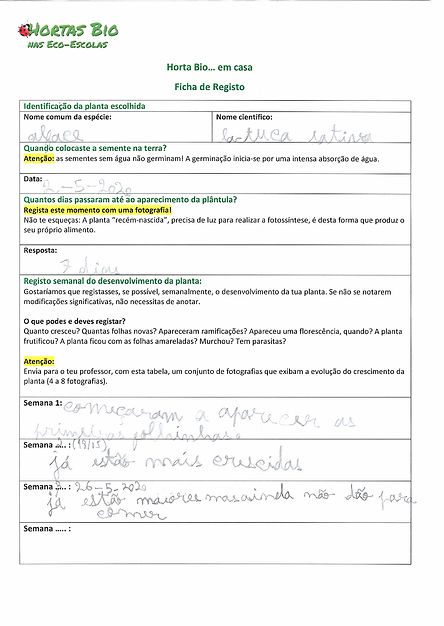 Ficha de registo - Alface1.jpg