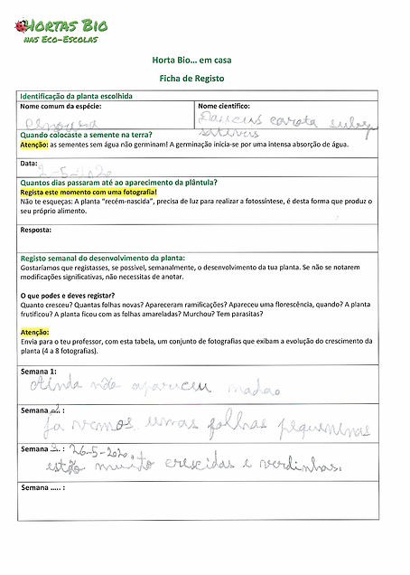 ficha de registo - Cenoura 1.jpg
