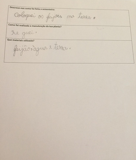 Horta bio...em casa ficha2.jpeg