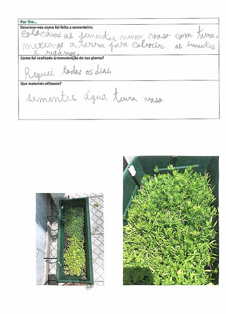 ficha de registo - Cenoura 2.jpg