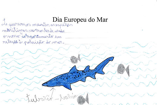 Diogo.jpg