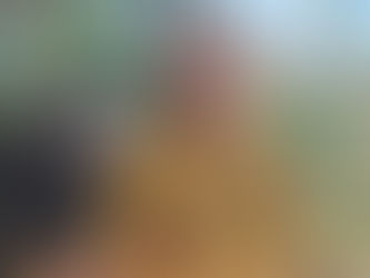 Ambassadeur - Trudy Hassell