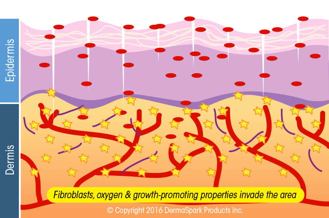 healing cascade