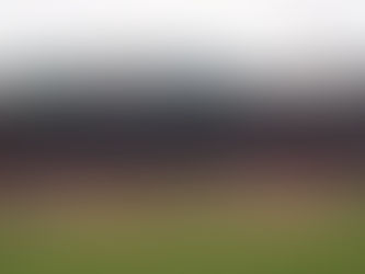 Beyond the Ballpark: Exploring Boston’s Fenway Neighborhood