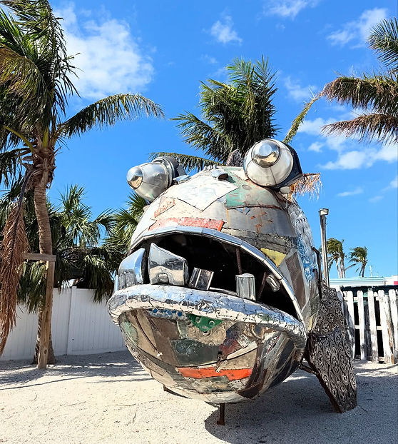 Ugly grouper
