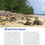 Thumbnail: ELEUTHERA BEACH BOOK, PRINT