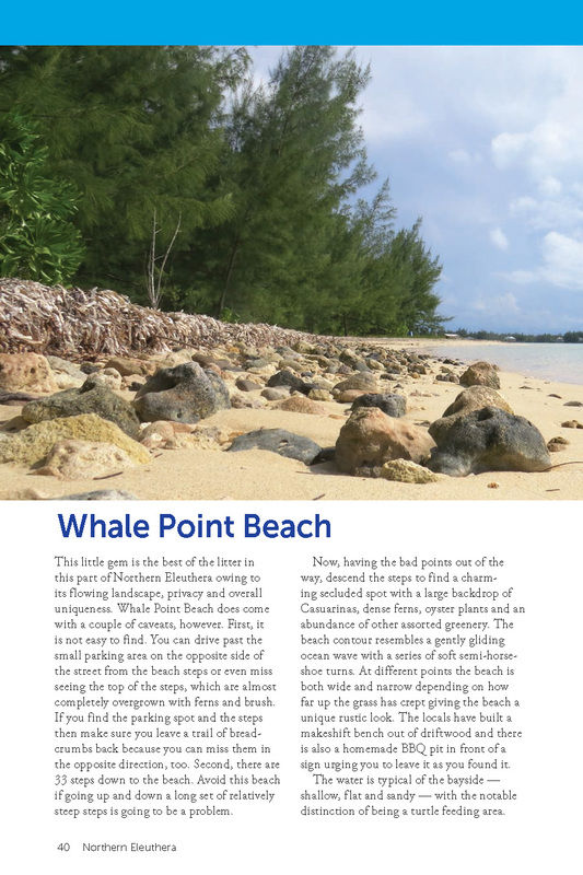 Thumbnail: ELEUTHERA BEACH BOOK, PRINT