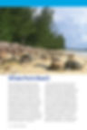 Thumbnail: ELEUTHERA BEACH BOOK, PRINT