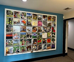 Mental Health Recovery Services in North Carolina | CooperRiis