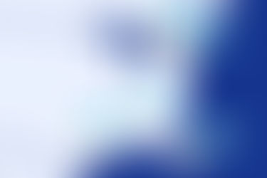 Your Ultimate Guide to Flights to Bonaire