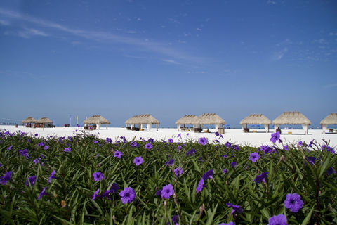 marco-island-g6a38189ed_1920.jpg