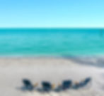 Beach chairs on white sand facing turquoise ocean