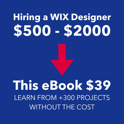 Animation Wix Velo Examples Stop Losing Visitors: 12 Wix Design - Main Image