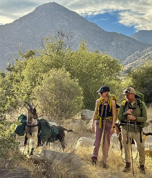 Lacey and David with gear standing near a pack goat on a trail
