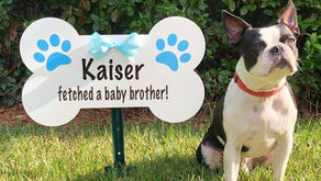Did you know you can also order a dog sign with your stork rental?