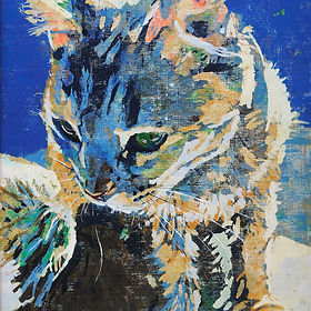 Michael Allison