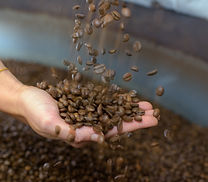 coffee tour Aracanto Colombia