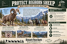 Protect Bighorn Sheep exhibit by Keegan's Pack Goats