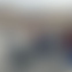 I was the only progressive on a Braver Angels RV trip through Utah