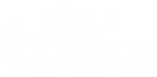Beach Boutique Rentals Logo