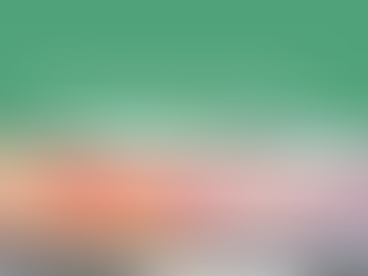 Discover our new brochure!