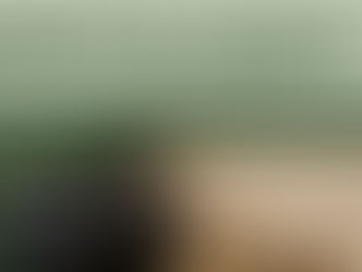 Behind the Numbers: A Real-Life Guide to Understanding Credit