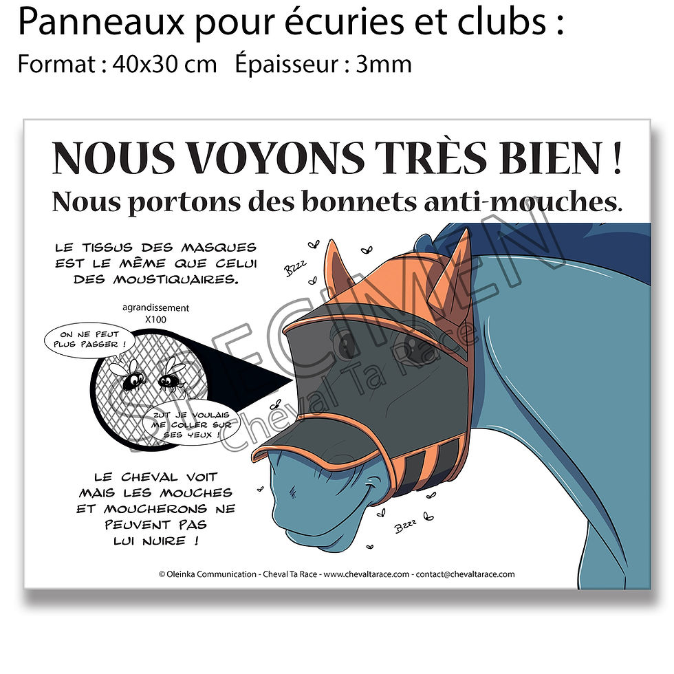 Masque Anti-mouche Filet épais - La Halle Aux Minis Masque Anti-mouche Filet épais - La Halle Aux Minis