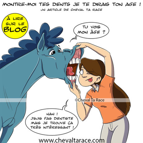 Les dents du cheval comment ça marche ?