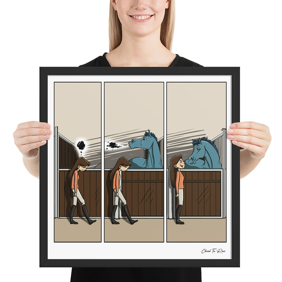 Miniature : Poster "chasse chagrin".
