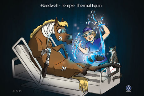 La créatrice de Needwell, Catherine Lawson, réponds aux questions de Cheval Ta Race !