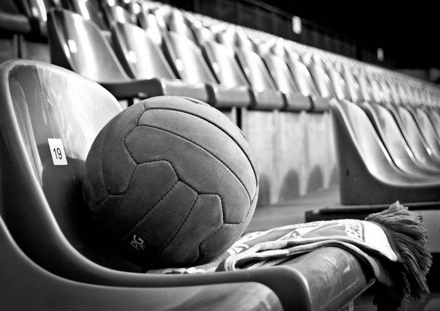 PELOTA WEBSITE.png
