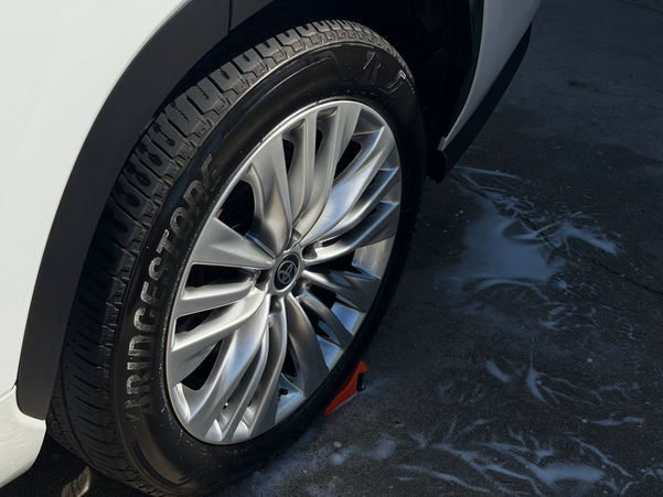 Rim cleaning