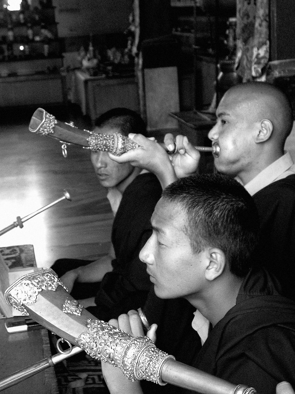 DSCN4114 copy