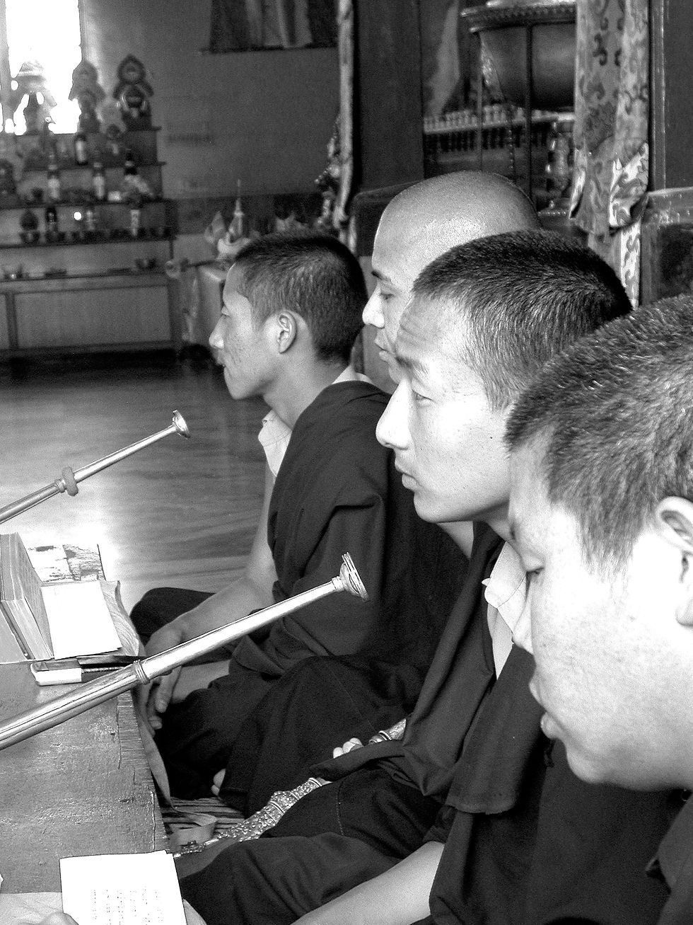 DSCN4113 copy