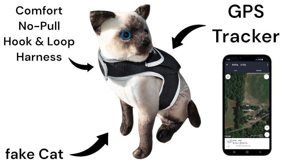 Thumbnail: Get Realtime Location Update w/ Pet Tracker GPS Tracking Collars for Dogs Size:M