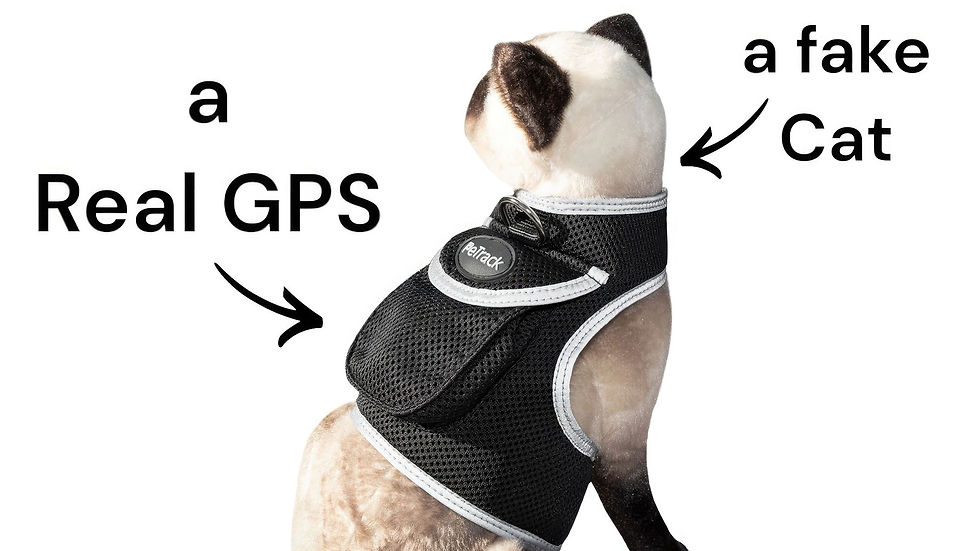 Thumbnail: Inexpensive Dog Locator Device Waterproof + Perimeter Fencing Settings Size:XXL