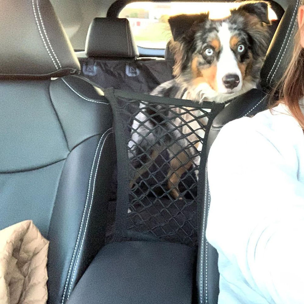 Thumbnail: Pet Isolation Net Dog Car Protection Network Car Anti-wrestling Pet Supplies