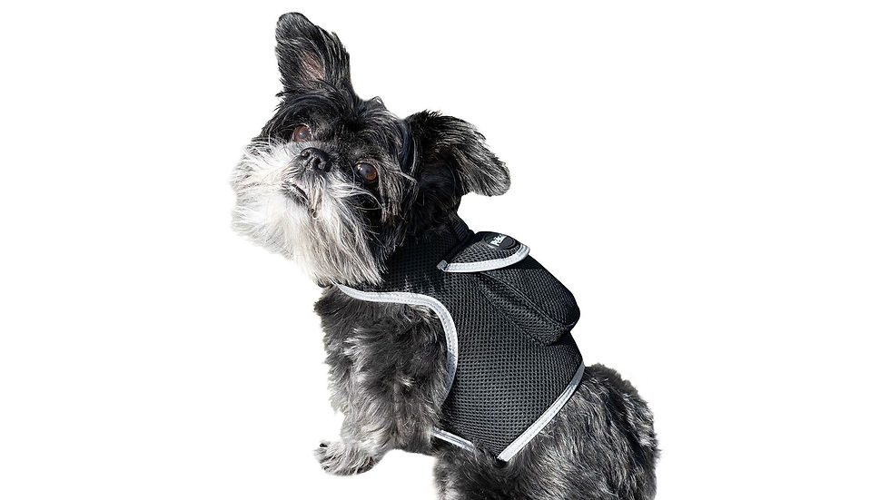 Thumbnail: Wireless GPS Tracking Collars for Hunting Dogs Realtime Tracking Tool Size:L