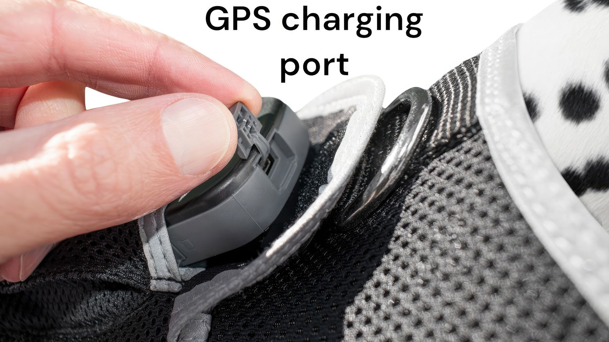 Get Realtime Pet Locations w/ Pet Tracker Mini Cat Dog GPS Tracking Collar Size: