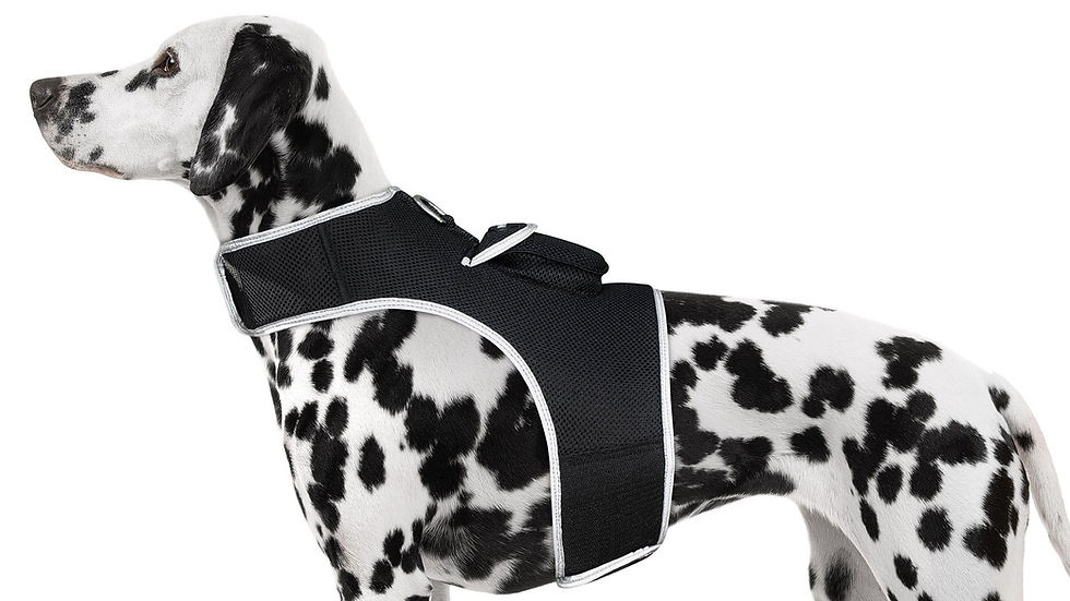 Thumbnail: Get Realtime Location Update w/ Pet Tracker GPS Tracking Collars for Dogs Size:M