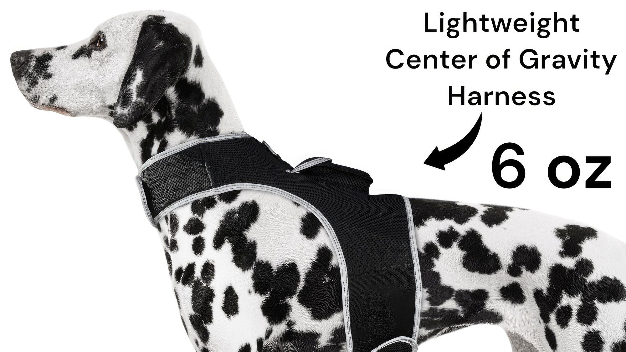 Inexpensive Dog Locator Device Waterproof + Perimeter Fencing Settings Size:XXL