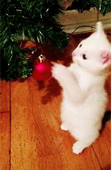 chat noel.gif