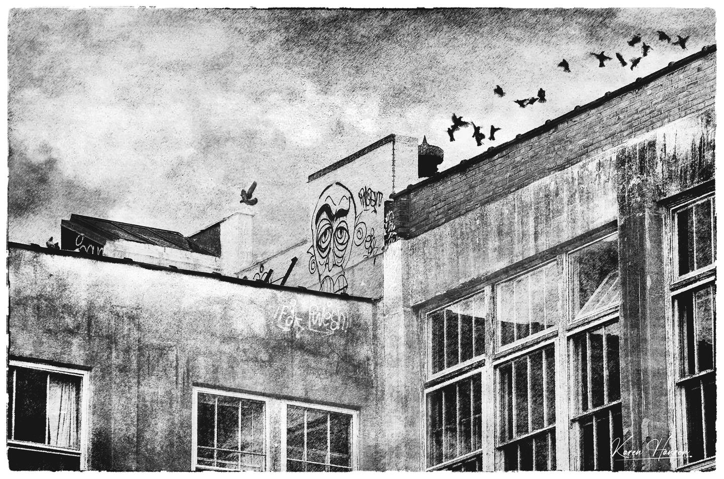Grungy rooftops with birds