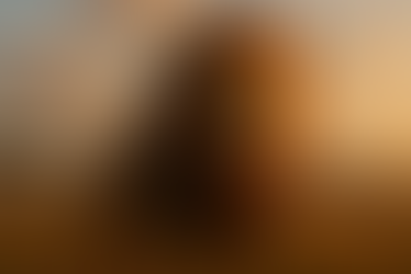 Mufasa: The Lion King Falls Short of Expectations