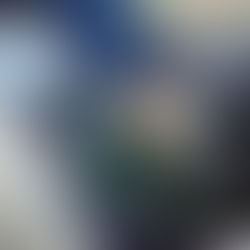 藍を染める ー武州正藍染ー