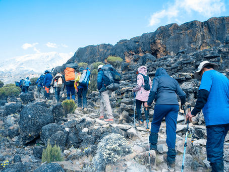 Summit Night: Your Epic Kilimanjaro Night Hike Adventure with Hike Talk Stay Adventures! Brace yourself, Kilimanjaro climbers for the peak of the peaks!