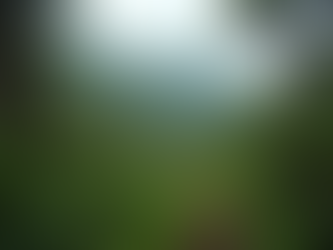 Unbiased Reviews of Kilimanjaro's Lemosho Route: Lemosho Route Hiking Reviews