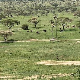 Try our short daytrip with a CoffeeTour/Waterfalls Hike & Swim.
