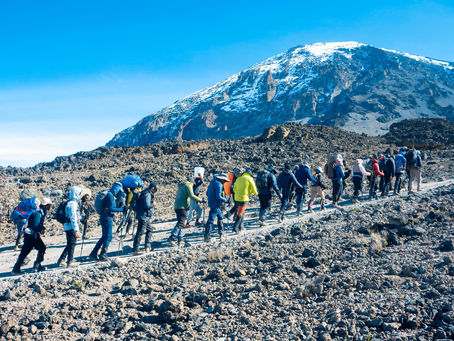 Ready to Conquer Kilimanjaro? We've Got You Covered! Airport Transfers Made Easy: